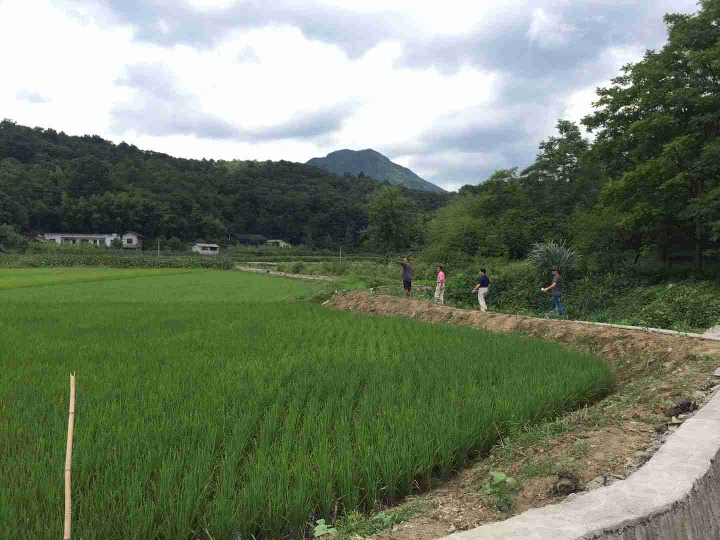 袁氏麓峰現(xiàn)代農業(yè)有限公司,長沙袁酒原材料基地管理,白酒銷售,酒類銷售哪里好 袁氏麓峰現(xiàn)代農業(yè)有限公司,長沙袁酒原材料基地管理,白酒銷售,酒類銷售哪里好